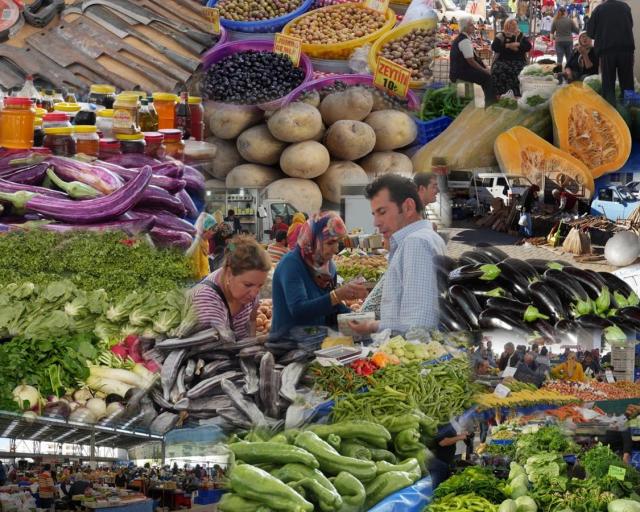 P1010850 i kollage (Copy)