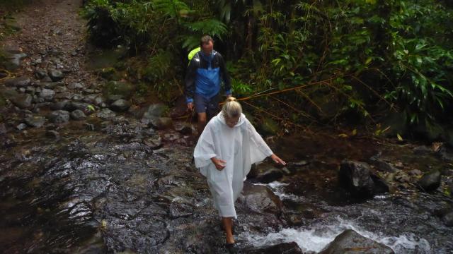 regnskogsvandring-dominica