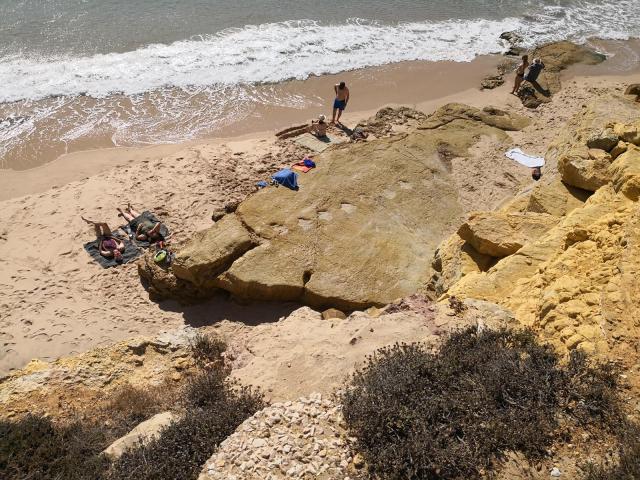 IMG_20181007_121335 (Copy)