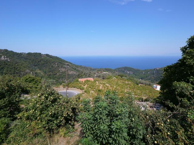 Samos view (Copy)