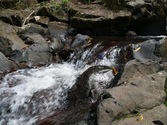 Desahies River walk 3