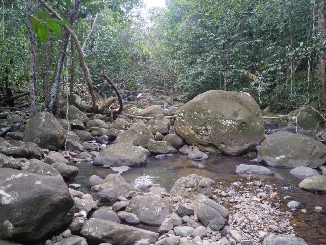 Desahies River walk 4