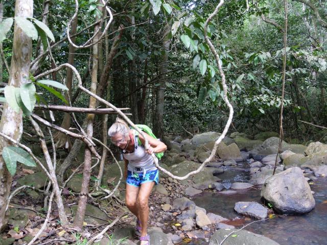 Desahies River walk 5