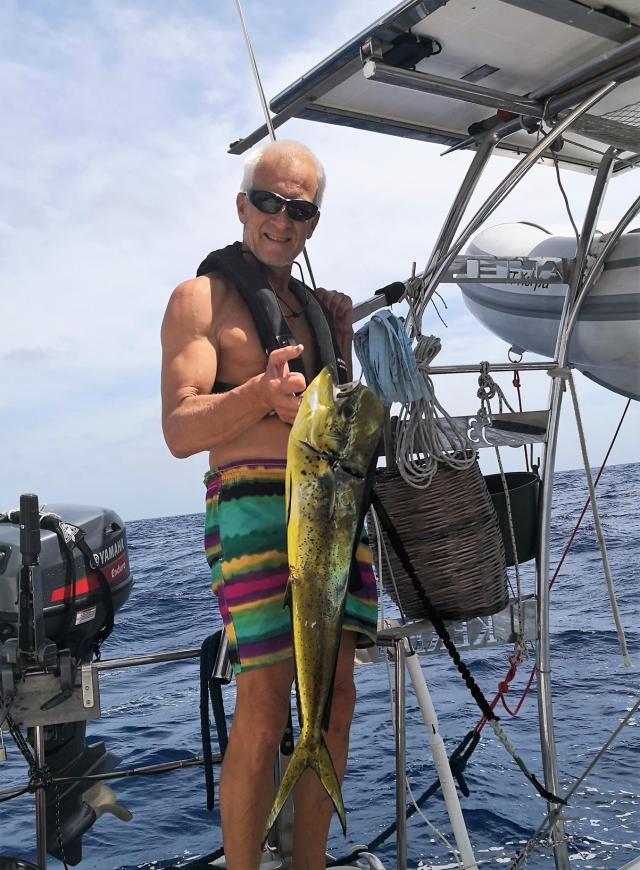 Mahi Mahi 1