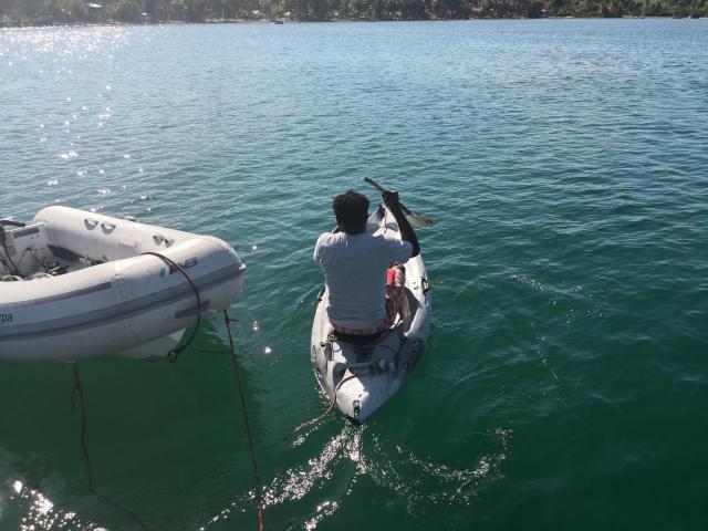 Clearing in Ile Vache 2