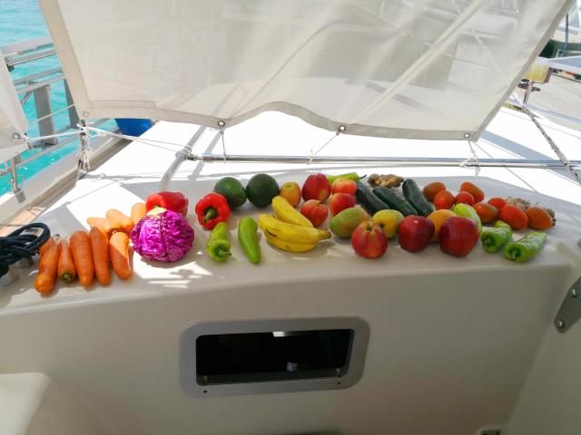 Dominican Republic Fruit