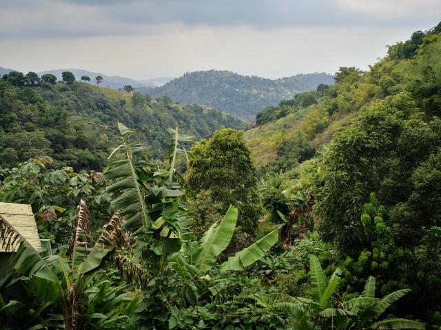 Mountain lodge view 1