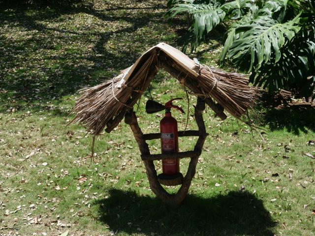 Botanic Garden Havnna 4