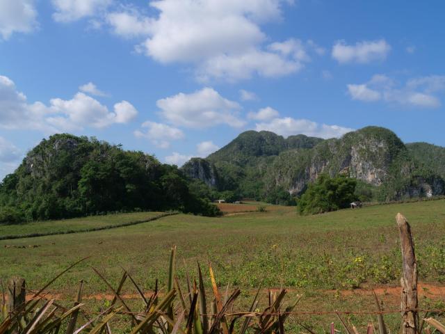 Vinjales landscape 2