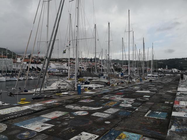 HBorta Harbor 1