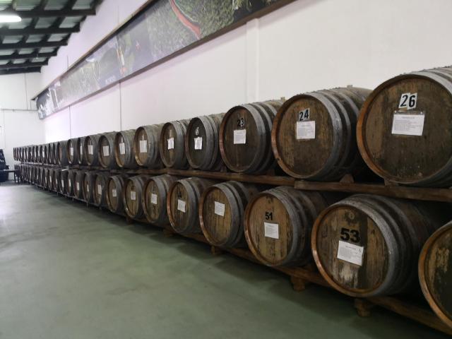 IMG_20190716_154155 (Copy)