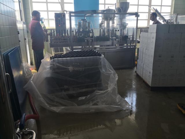 IMG_20190716_154259 (Copy)