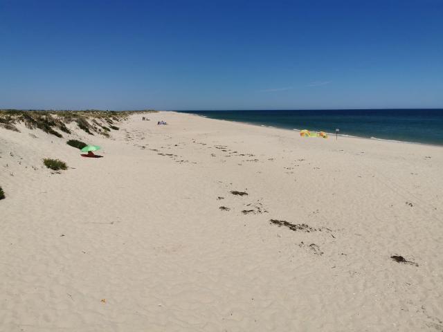 Culatra beach 1